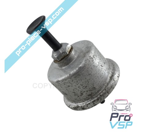 Icewash pump