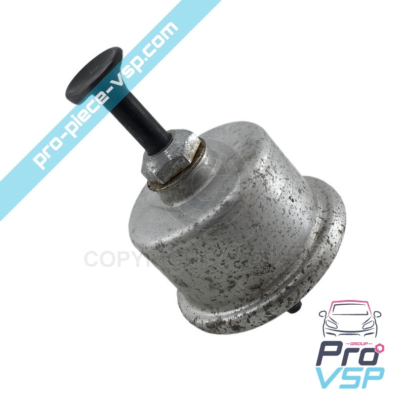 Icewash pump