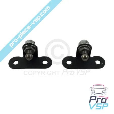 Oportunidad Levante las fijaciones para Bellier Jade