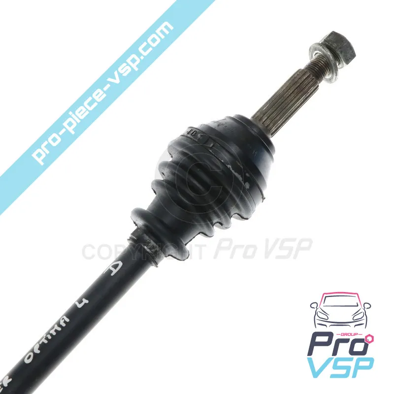 Cavan derecho para Ligier Optima 4