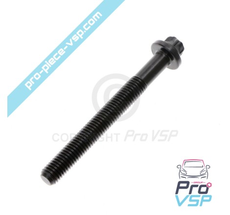 Crankshaft bearing screw