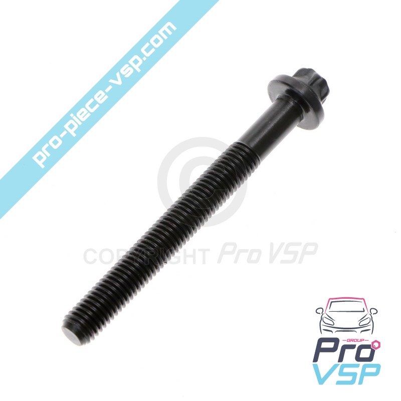 Crankshaft bearing screw