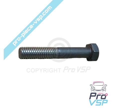Rod screw