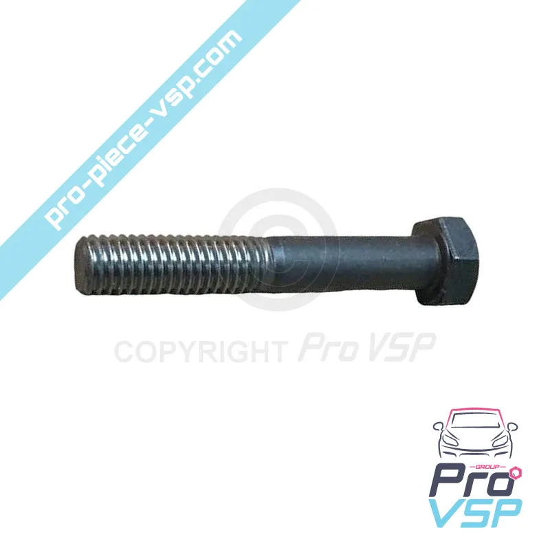 Engine rod screw Lombardini 6LD325