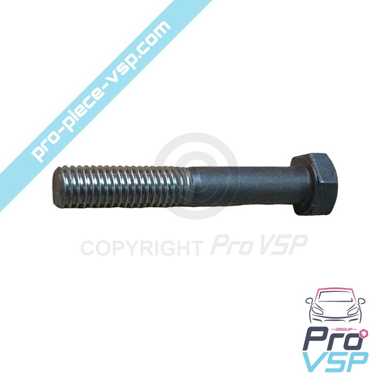 Rod screw