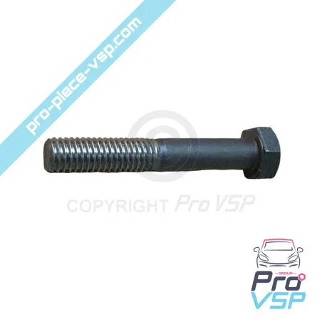 Engine rod screw Lombardini 6LD325