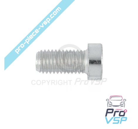 Oil carter plate screw