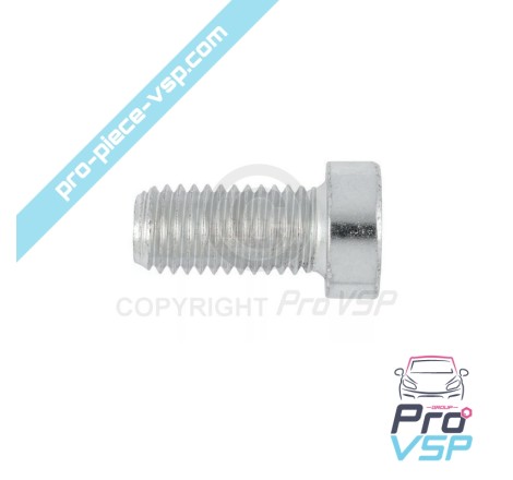 Oil Crankcase Sheet Screw