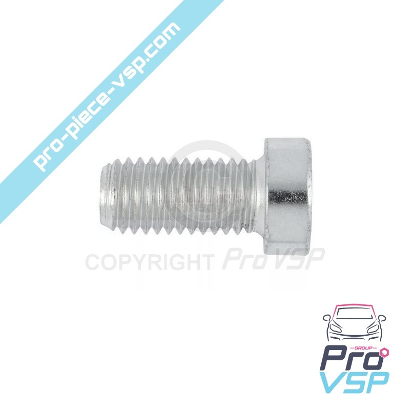 Oil Crankcase Sheet Screw