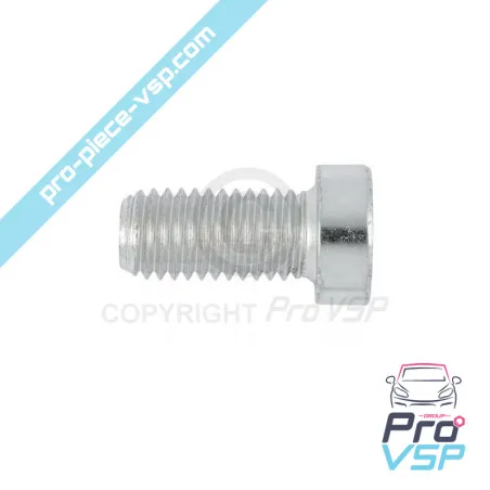 Motorölgehäuseplatte Schraube Lombardini Focs Progress 502 523