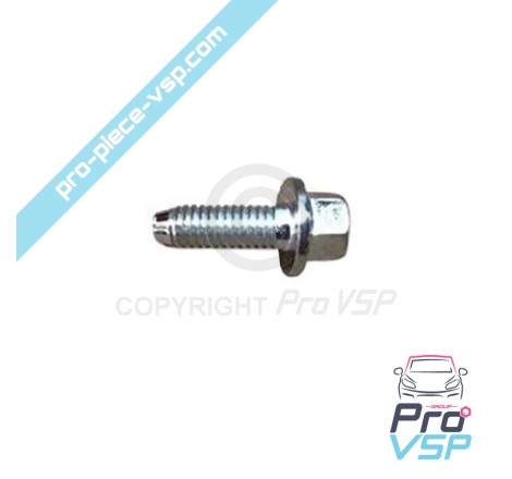 Oil pan screw