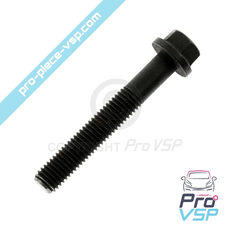 Cylinder head screw