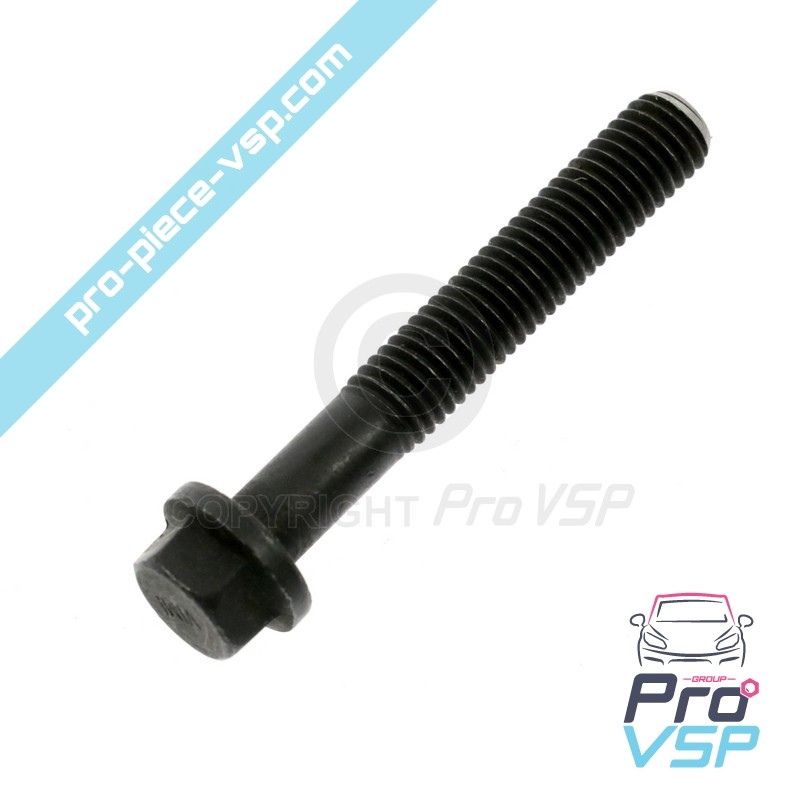 Cylinder head screw