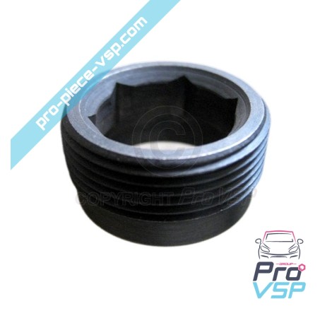 Precombustion chamber nut