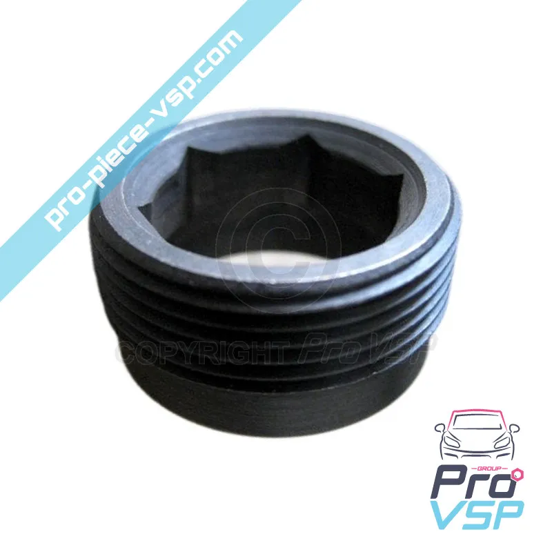 Ecrou de chambre de précombustion pour moteur Lombardini 502