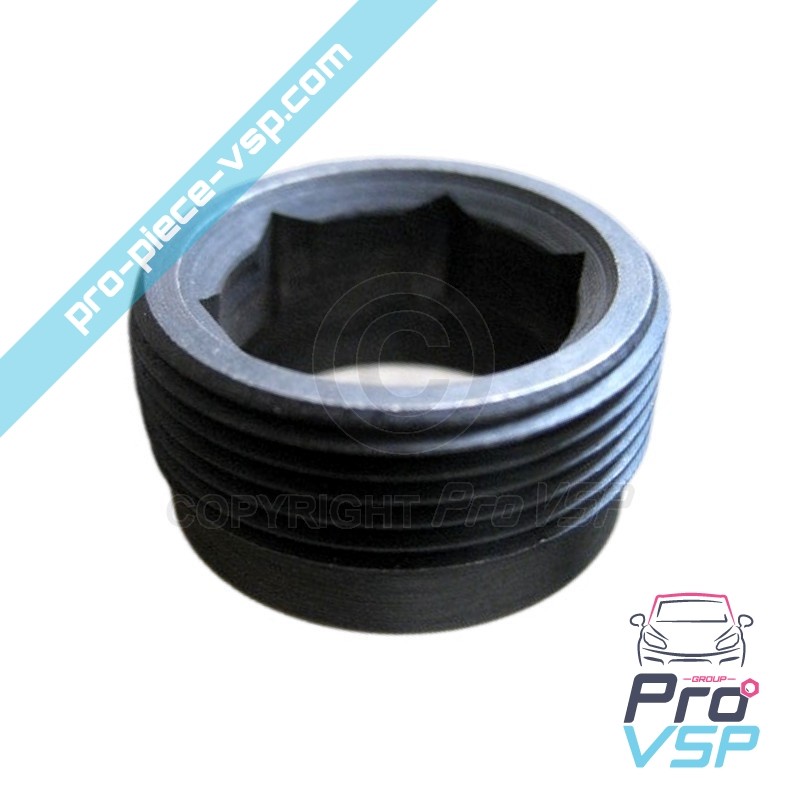 Precombustion chamber nut