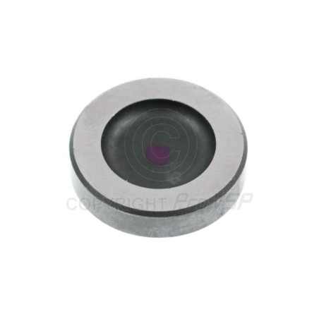 Câle d'ajustement de pompe à injection ( violet ) pour moteur Lombardini DCI