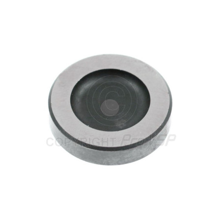 Câle d'ajustement de pompe à injection ( gris clair ) pour moteur Lombardini DCI