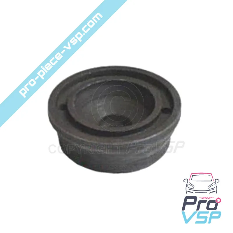 Espaciador del inyector del motor Lombardini Focs Progress 502