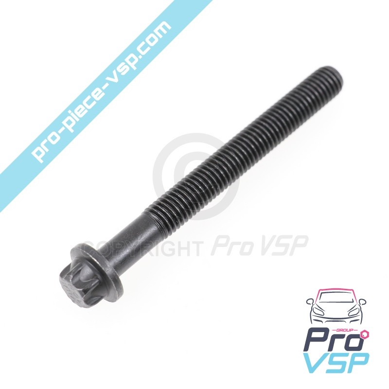Cylinder head screw