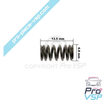 Injektionsventilspring