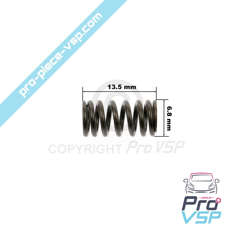 Injektionsventilspring