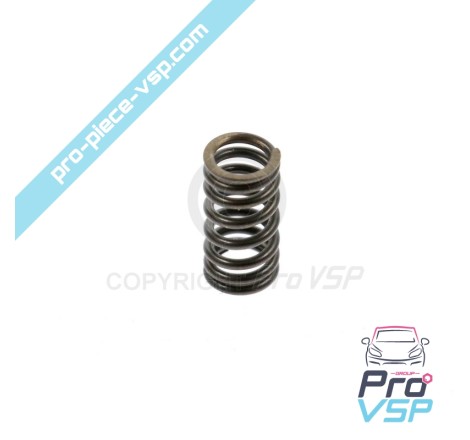 Pump injector valve spring