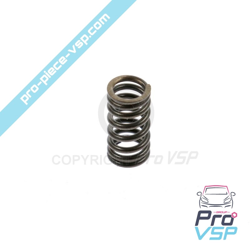 Pump injector valve spring