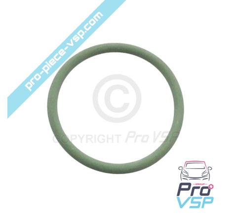 Injector O-ring