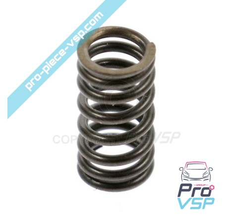 Injector rod spring