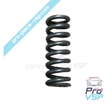 Pump valve spring