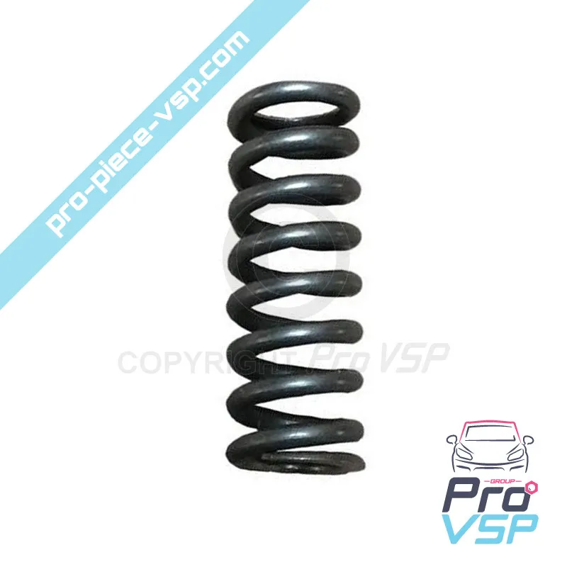 Ressort de soupape de pompe à injection pour moteur Lombardini 6LD325