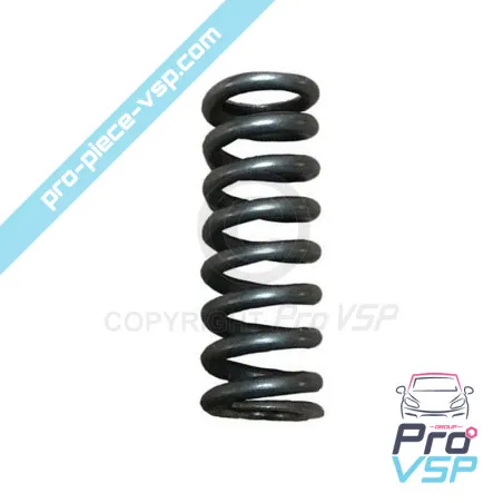 Engine injection pump valve spring Lombardini 6LD325