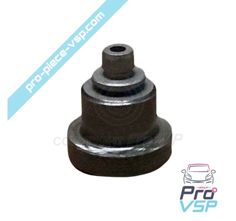Injection pump valve
