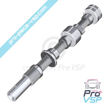 Arbre à câmes pour moteur Lombardini essence LGW 523 MPI