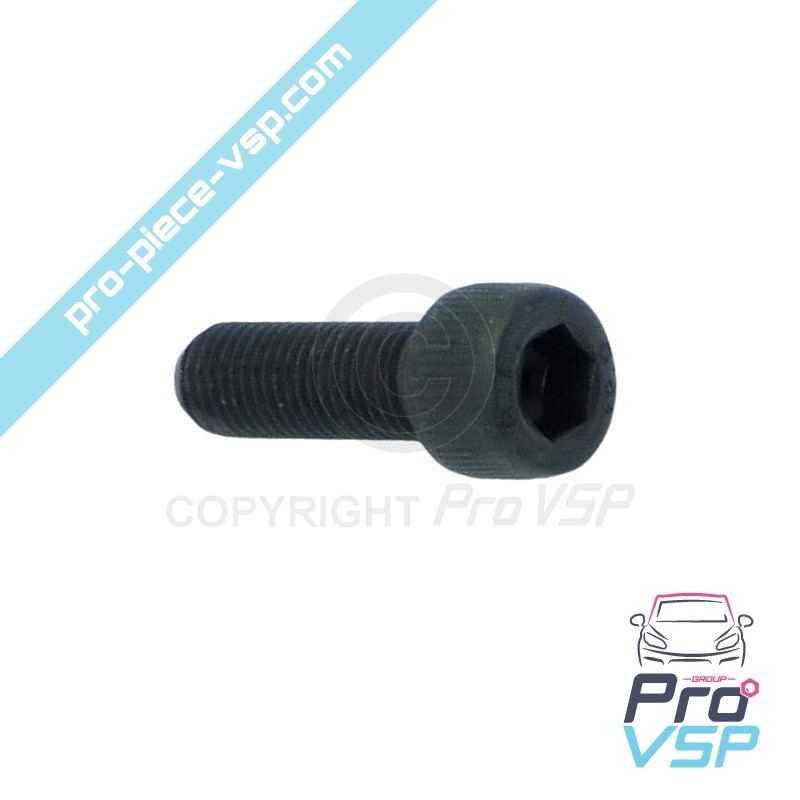 Excentric fixing screw...