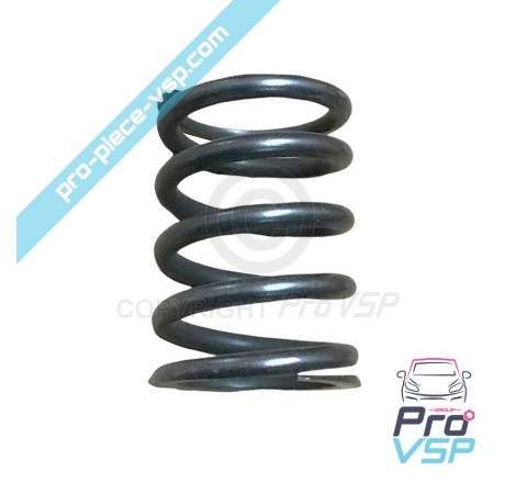 Valve spring