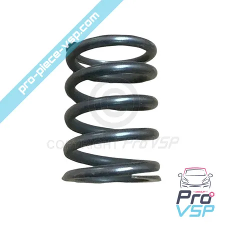 Engine valve spring Lombardini 6LD325