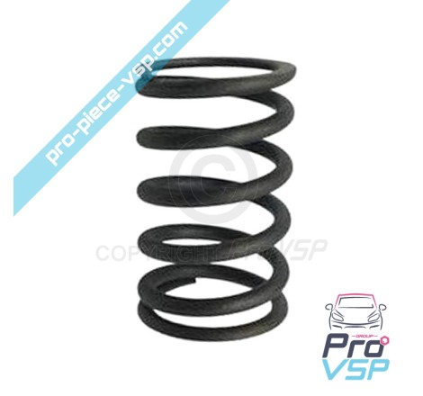 Exhaust valve spring