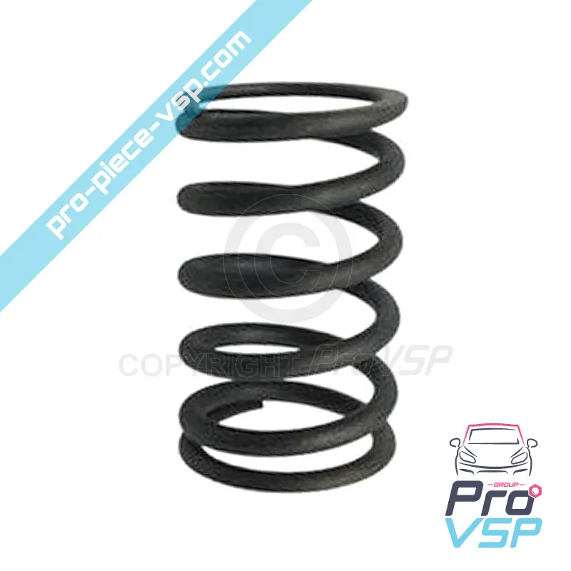 Engine exhaust valve spring Lombardini 15ld