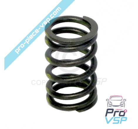 Valve spring