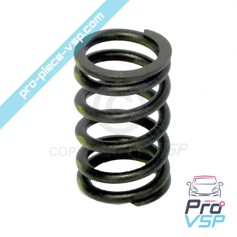 Ressort de soupape pour moteur Lombardini LGW 523