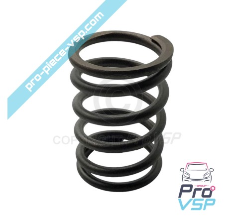 Valve spring