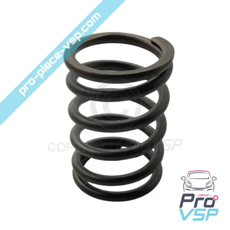 Engine valve spring Lombardini DCI