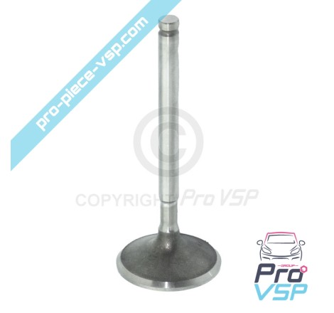 Intake valve