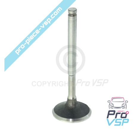 Exhaust valve