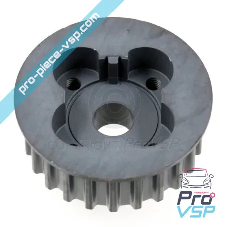 Pulbere de origine Villebrequin pentru motor Lombardini DCI