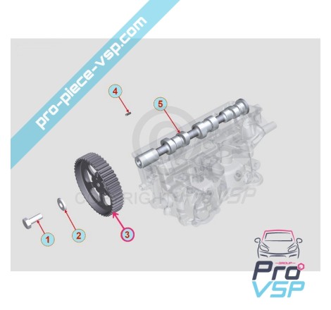 Polia de Tree Original do Motor Lombardini DCI