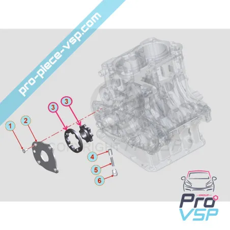Origin oil pump for motor Lombardini DCI