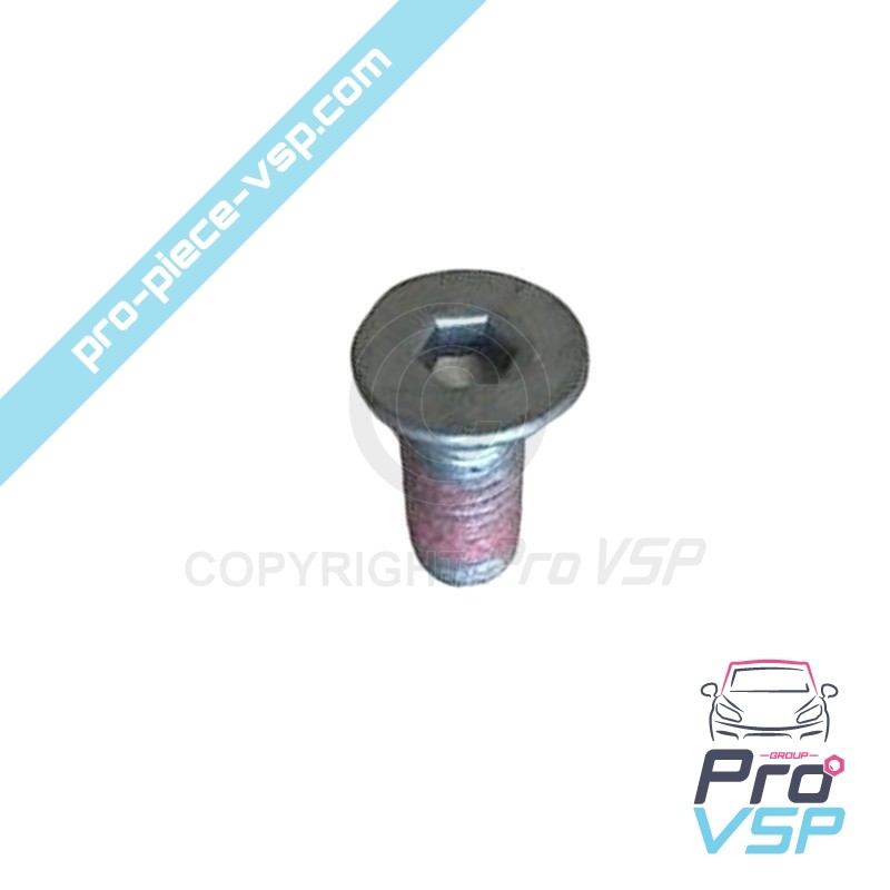 Oil pump plate screw